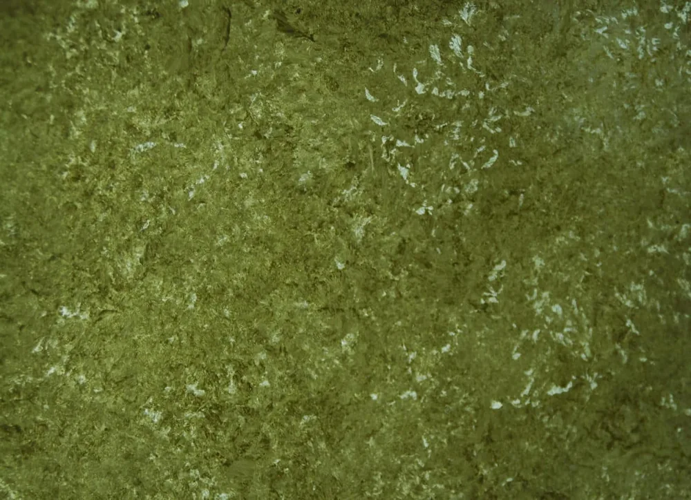 Green Medici coating sample